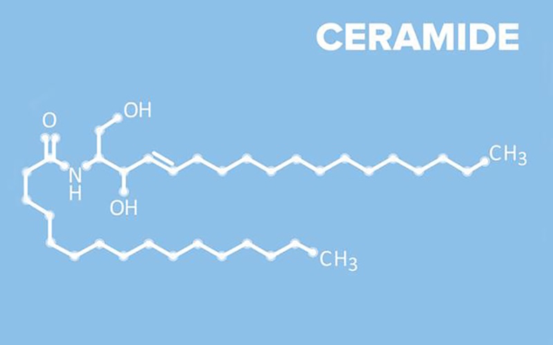 Ceramide - "lớp vữa" thiết yếu giúp kết nối tế bào sừng và ngăn chặn tình trạng da khô vảy trắng.